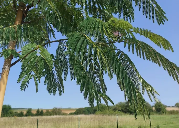 Cahute Enchantee Aubois Dormant Campingplads *